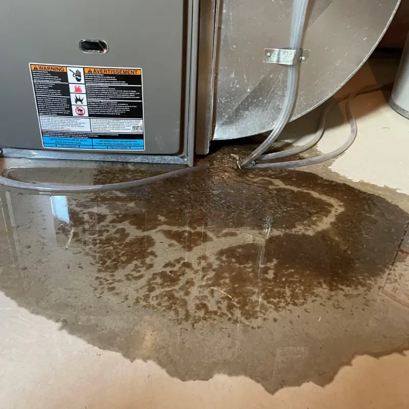 Appliance Leak Cleanup in Clark County, KY